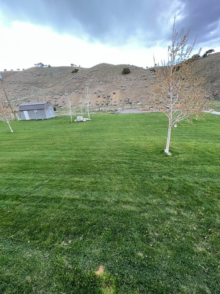 higley1